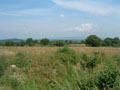 celtic park - view from the ring fort 2.jpg